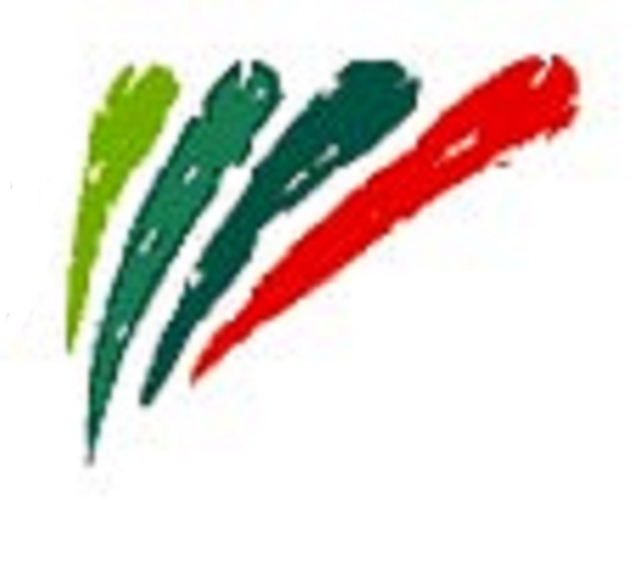 IfaG_logo